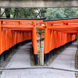 Senbon Torii (Thousand Torii Gates)