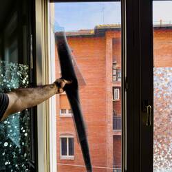 Mui's home improvement project ... insect screen installation — Bologna, Italy.