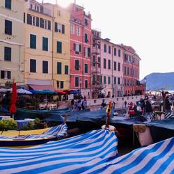 Farbenfrohe Häuser und der malerische Hafen in Vernazza