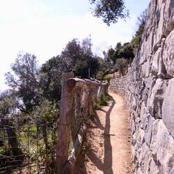 Die Steine der Trockenmauen werden perfekt zusammengefügt und halten ewig