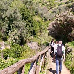 Aber allein ist man hier nicht