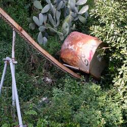 Mit Hilfe dieser Zahnradbahn transportieren die Weinbauern den Wein 🍇