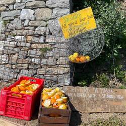 Kleine Bar am Berg, es gibt dort leckeren frisch gepressten Orangensaft, aber auch Cocktails 🍹