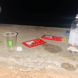 how did i ended up in this situation? pflaumen(wein) eher obstler vom opa