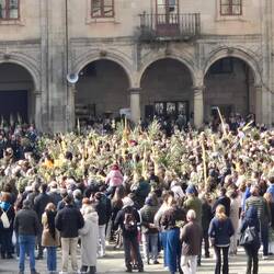 Lots of people getting their palms and greenery blessed.