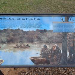 Cherokee mit weißem Hirschschwänzchen als Erkennungszeichen.