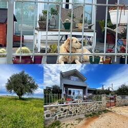 ..auf der sich auch einige Wohnhäuser befinden