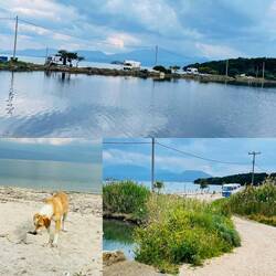 ..hier füttern wir eine sehr hungrige Hündin,möchten aber nicht so nah mit den anderen Campern 🅿️🚐🚐