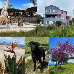 ..und danken den Griechen für ihre Gastfreundschaft🙏Tavernen haben noch geschlossen..