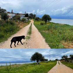 ..rund um uns ist Wasser und dieser Teil ist wie eine kleine Insel