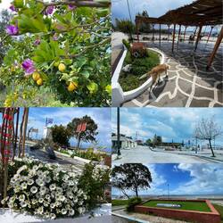 ..sie zeigt mir ihre ganze Heimat..