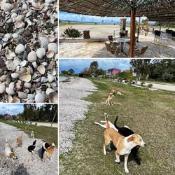 ..und auch ihre freundlichen Kompanies..