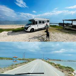 ..im Nationalpark angekommen halten wir öfter an und sehen viele Wasservögel 🦩🦤