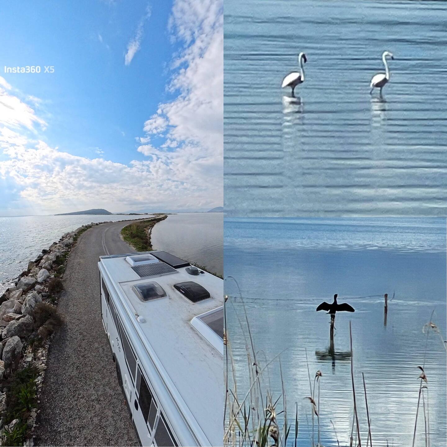 Ein romantisches Ziel in der Natur erwartet uns❣️🤩