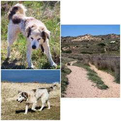 Wir werden ein Stück begleitet 😊