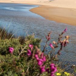 Praia da Bordeira