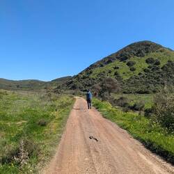 Plötzlich im Auenland: Sanfte grüne Hügel überall