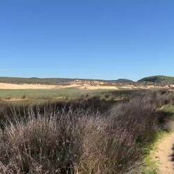 Gequake vom Feinsten 🐸🔊