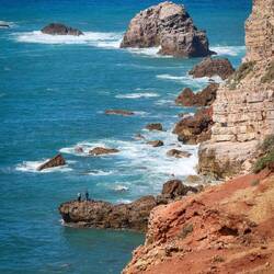 Ob sie wohl was gefangen haben?🐟🐙🦀