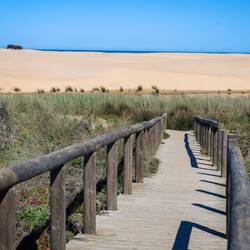 Ganz hinten blitzt ein Streifen vom Meer durch.