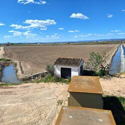 Blick auf das riesige Areal mit Reisfeldern