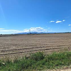 Blick über unendliche Reisfelder