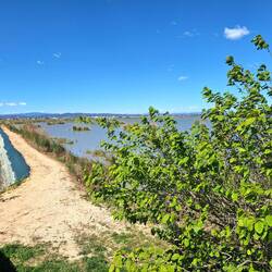 L'Albufera mit kleinen Inselchen