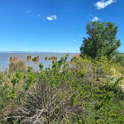 Blick auf die Lagune