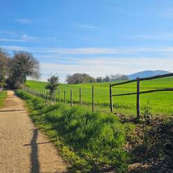 The first bench on the left is where I found the phone