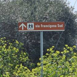 My first VF Sud sign