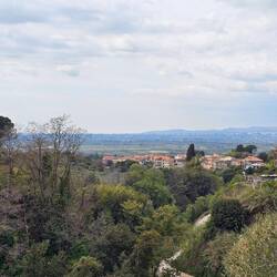 The view from my balcony