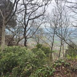 The trail to Montale Tower.