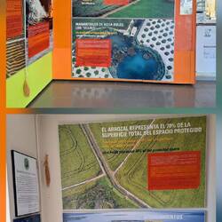 Interessant die Aufgabe der Reisfelder