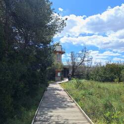 Der Weg zum Aussichtsturm