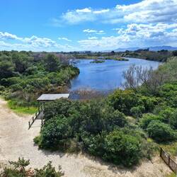 Blick vom Aussichtsturm auf die Lagune