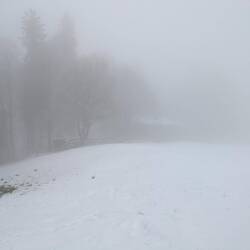 Gefunden: Waldweidhütte