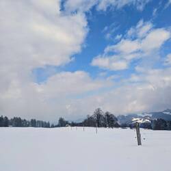 Ahaaaa! So sieht es ohne Nebel aus😄