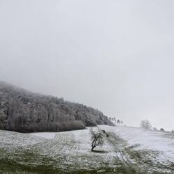 Vor Langenbruck