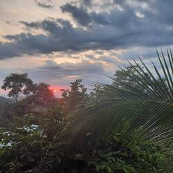 Letzter Sonnenuntergang von unserem "Baumhaus" aus