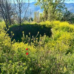 A pozo de nieve (snow well)? No identifying sign anywhere near, but it sure looks like one.