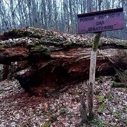 Naturdenkmal