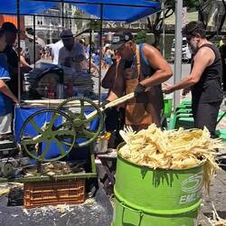 The making of sugar cane juice.