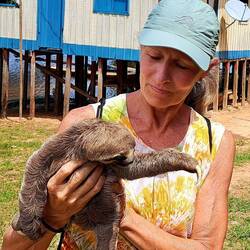 A baby sloth!!