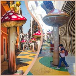 Calle de las Setas (Straße der Pilze)