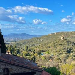 Suchbild: wo ist der blaue Kasten?