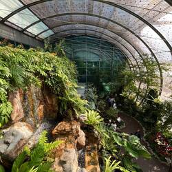 Schmetterling Garten