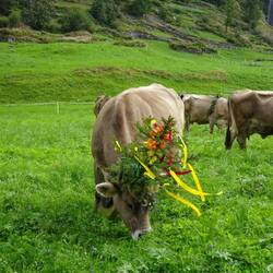 Weihnachten steht vor der Tür