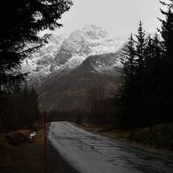 Altitude du sommet: 350m, ressenti: bien plus