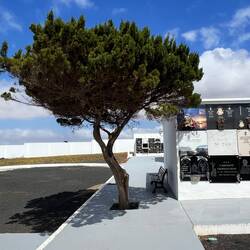 Friedhof Teguise