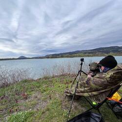 À l'affût des oiseaux migrateurs